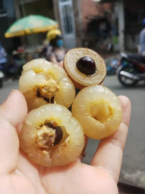  Có thể bạn chưa biết: Việt Nam có loại nhãn lạ, cùi cuộn như bắp cải, giá cao gấp 5 lần nhãn thường vẫn được săn lùng  - Ảnh 5.