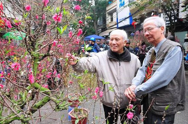  Kinh nghiệm để chọn và chăm sóc hoa đào ngày Tết  - Ảnh 1.