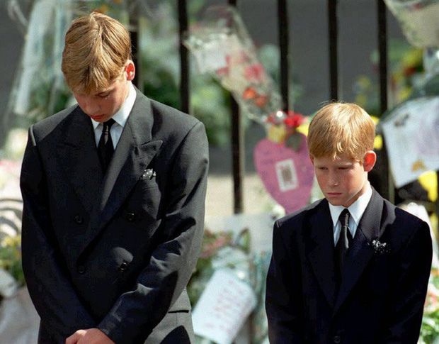 Harry Charles : De l'enfant que tout le monde aimait après la mort obsédante de la princesse au prince grenouille dont le monde entier se moquait parce qu'il laissait sa femme le conduire par le nez - Photo 2.