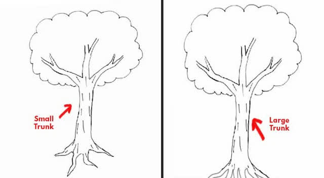 Bạn đã từng tự mình vẽ một cây có rễ chưa? Hãy thử thách bản thân với bức tranh này và đón nhận nét độc đáo của các tán cây và những cánh rễ, tạo nên một thế giới tự nhiên đầy bình yên.