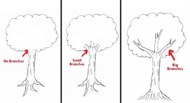 Tìm hiểu vẽ cây có rễ trong sách giáo khoa