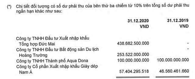  4 công ty có trụ sở Hà Nội huy động 5.300 tỷ đồng mua dự án 9,6 hécta Quận 2 của Novaland  - Ảnh 2.