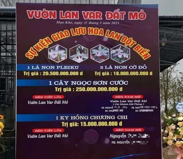 Quảng Ninh: Công an xác minh màn giao dịch lan đột biến trị giá gần 300 tỷ đồng - Ảnh 2.