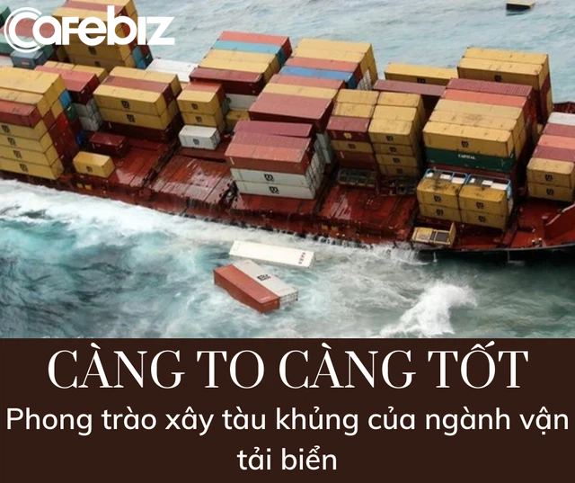 Học thuyết kinh tế trong cú đâm của EverGiven vào kênh đào Suez: Sự bất hợp lý của những con tàu hàng siêu to siêu khổng lồ - Ảnh 3.