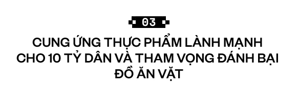 Sẽ thế nào khi rau được trồng trong nhà máy, bằng robot, AI và thế hệ nông dân 4.0? - Ảnh 13. Sẽ thế nào khi rau được trồng trong nhà máy, bằng robot, AI và thế hệ nông dân 4.0? - Ảnh 13.