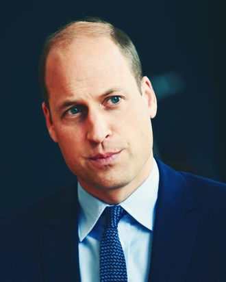 Hoàng tử William được bình chọn là người đàn ông đầu hói hấp dẫn nhất hành tinh - Ảnh 1.