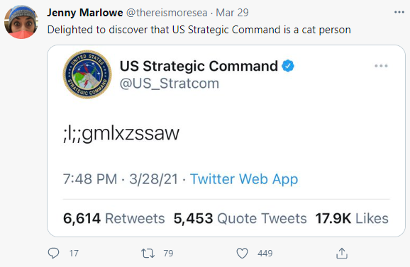 Bộ Chỉ huy Chiến lược Hoa Kỳ đăng dòng ký tự vô nghĩa ;l;;gmlxzssaw lên Twitter, cư dân mạng đoán ngay rằng có mèo trèo lên bàn phím - Ảnh 3.