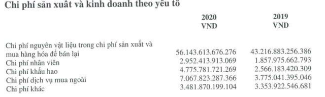 Không đâu như ở Hoà Phát: Công ty lãi 13.500 tỷ năm 2020, CEO Trần Tuấn Dương còn bị giảm lương, mưa tiền thưởng phải chờ ĐHCĐ  - Ảnh 7.