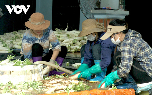  Giá quá rẻ, nông dân Hà Nội vứt bỏ củ cải, cà chua...đầy đồng vì ế ẩm  - Ảnh 10.