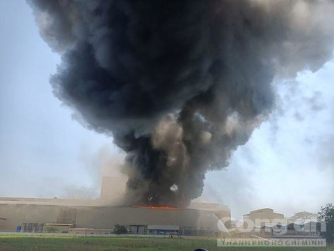 Cháy lớn tại công ty Tôn Hoa Sen ở Bình Dương - Ảnh 1.