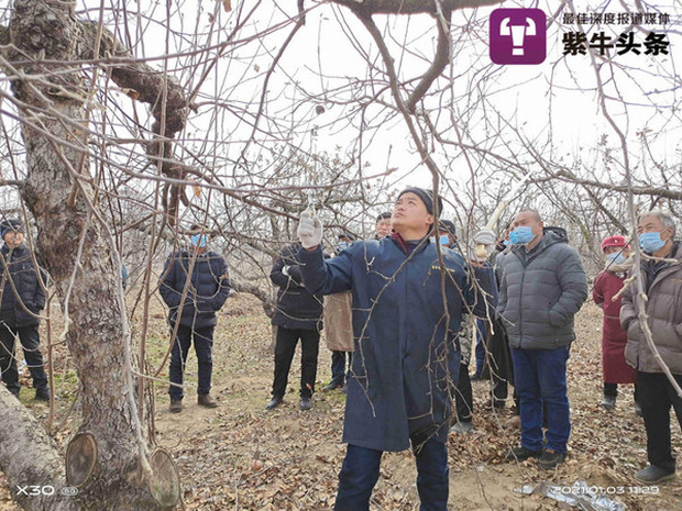 Nổi tiếng nhờ loạt clip livestream, anh nông dân được mệnh danh Vua Táo mở bán khóa học trồng cây trực tuyến và cái kết gây sửng sốt - Ảnh 1.