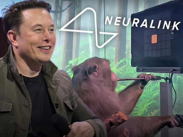 Tận mắt chứng kiến con khỉ của Elon Musk chơi game như người - Ảnh 2.