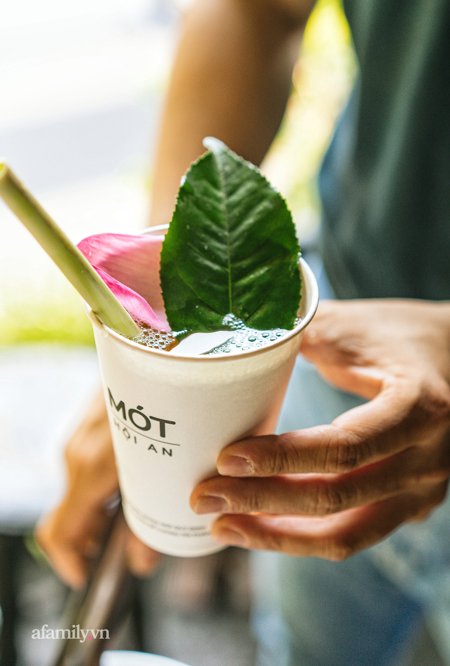 Mót - Món Nước