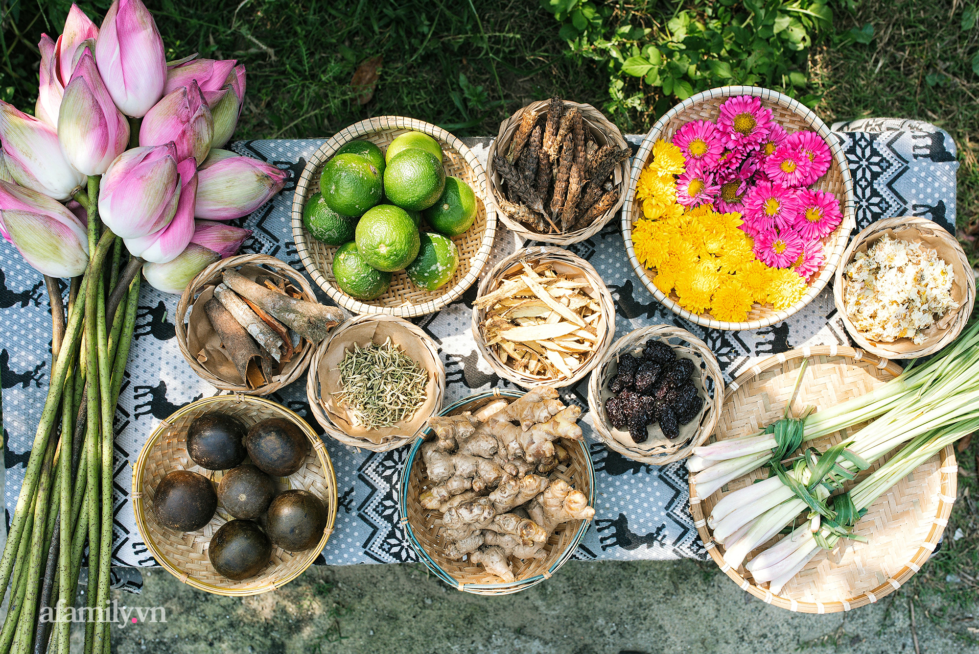 Mót - Món Nước
