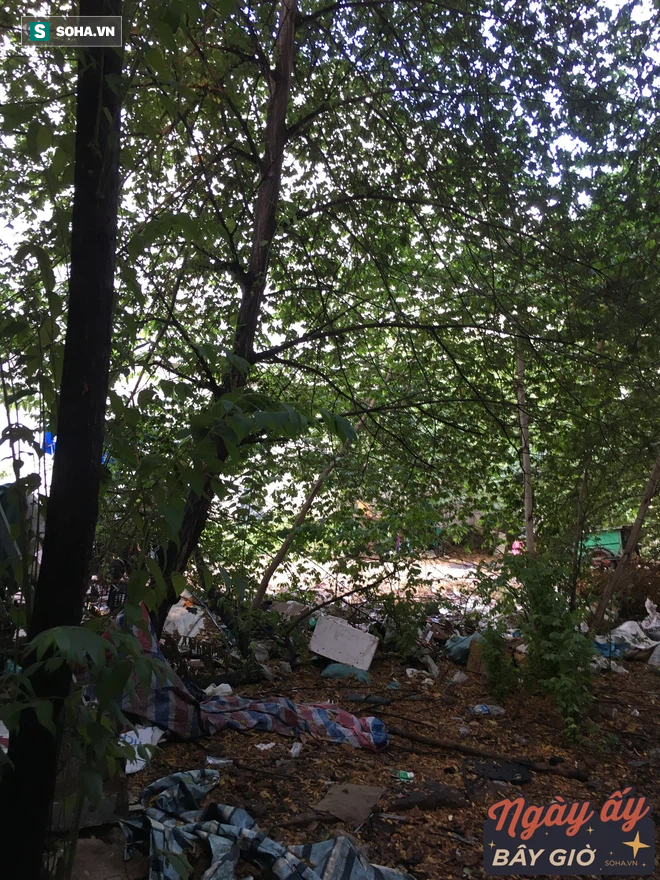 Khách sạn lừng lẫy bậc nhất Sài Gòn của vua ngân hàng trước năm 75, giờ ra sao? - Ảnh 7. Khách sạn lừng lẫy bậc nhất Sài Gòn của vua ngân hàng trước năm 75, giờ ra sao? - Ảnh 7.