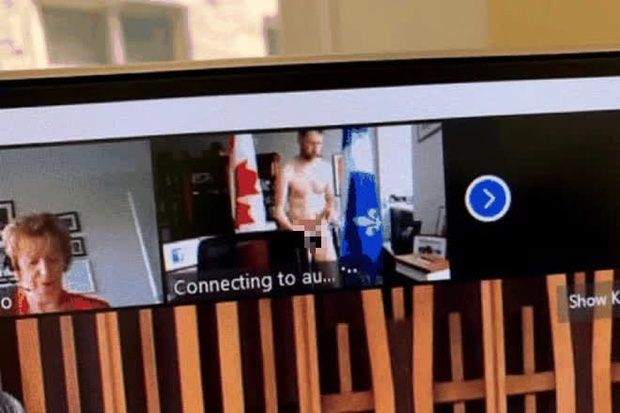 Nghị sĩ Canada quên tắt camera, khỏa thân đi lại giữa buổi họp Quốc hội trực tuyến - Ảnh 2.