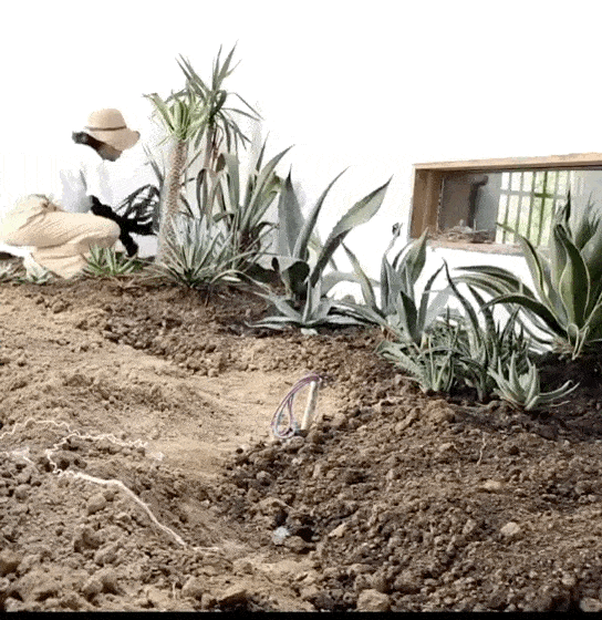Cô gái 40 tuổi không kết hôn, chuyển nhà vào núi ở: Tiêu hết tiền tiết kiệm để sống nhà đất, sửa chuồng lợn thành phòng làm việc - Ảnh 16. Cô gái 40 tuổi không kết hôn, chuyển nhà vào núi ở: Tiêu hết tiền tiết kiệm để sống nhà đất, sửa chuồng lợn thành phòng làm việc - Ảnh 16.