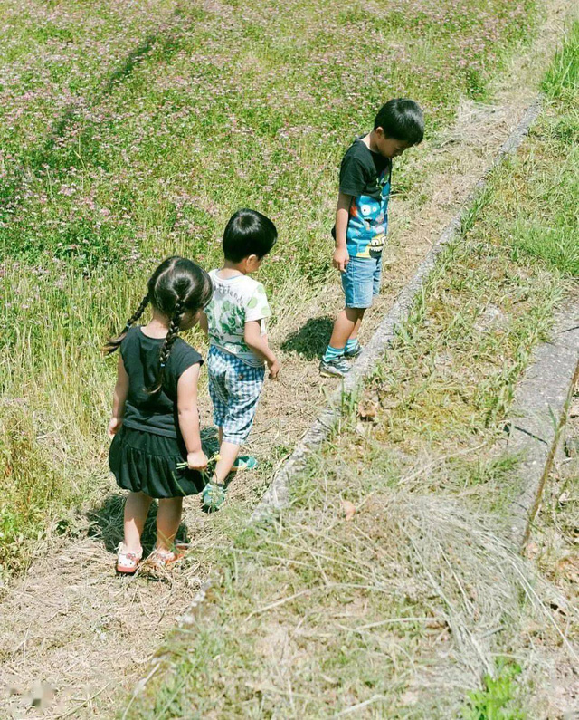 Bỏ phố về vùng nông thôn, gia đình 5 người biến cuộc sống trong ngôi nhà gỗ thành thiên đường ai cũng ước mơ - Ảnh 17. Bỏ phố về vùng nông thôn, gia đình 5 người biến cuộc sống trong ngôi nhà gỗ thành thiên đường ai cũng ước mơ - Ảnh 17.