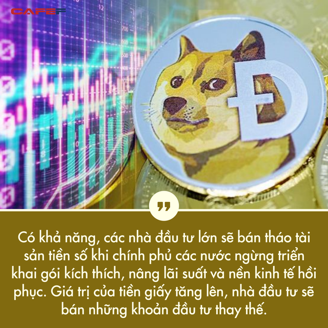 Tỷ suất sinh lời đạt hơn 8.000% từ đầu năm đến nay, bong bóng Dogecoin khi nào vỡ? - Ảnh 4.