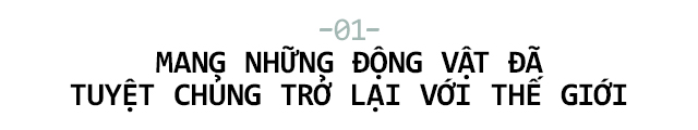 Nhân bản vô tính đang đưa những loài động vật tuyệt chủng trở lại với thế giới - Ảnh 2.