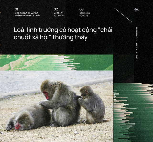 Nghe từ bé đến giờ, đã bao giờ bạn tự hỏi Âm nhạc tới từ đâu? - Ảnh 6. Nghe từ bé đến giờ, đã bao giờ bạn tự hỏi Âm nhạc tới từ đâu? - Ảnh 6.