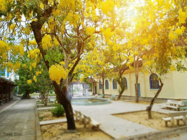 Ngôi trường có khuôn viên đẹp nhất Việt Nam, 4 mùa hoa nở, học phí siêu thấp mà sinh viên đi học ngày nào cũng ngỡ lạc vào resort - Ảnh 10.