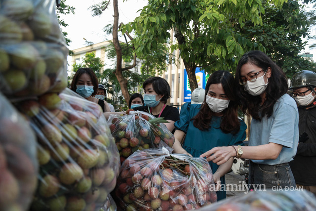  Người Hà Nội đội nắng nóng, nườm nượp chung tay giải cứu vải Bắc Giang hỗ trợ người dân vùng dịch  - Ảnh 8.