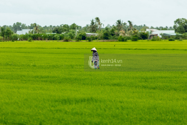  Trực tiếp đến Tiền Giang: Đau lòng khi thấy nhà Hồ Văn Cường bị bỏ hoang, hàng xóm kể lâu rồi không thấy bố mẹ ruột và Phi Nhung về thăm - Ảnh 17.