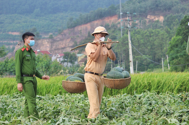  Bắc Giang: Đoàn viên thanh niên công an huyện Yên Dũng thu hoạch 8,5 tấn dưa cho bà con nông dân - Ảnh 1.
