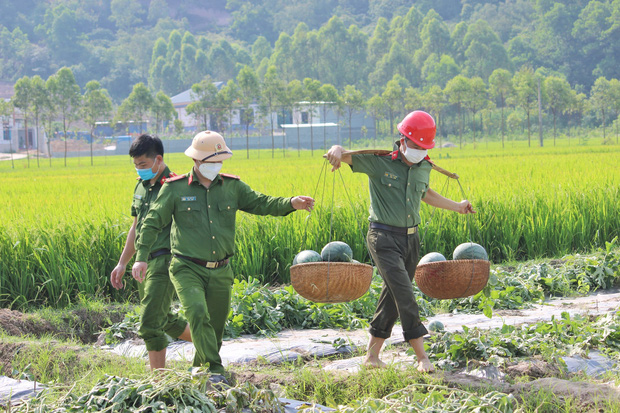  Bắc Giang: Đoàn viên thanh niên công an huyện Yên Dũng thu hoạch 8,5 tấn dưa cho bà con nông dân - Ảnh 3.
