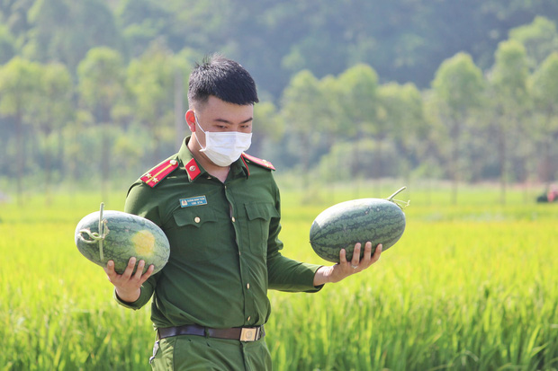  Bắc Giang: Đoàn viên thanh niên công an huyện Yên Dũng thu hoạch 8,5 tấn dưa cho bà con nông dân - Ảnh 4.