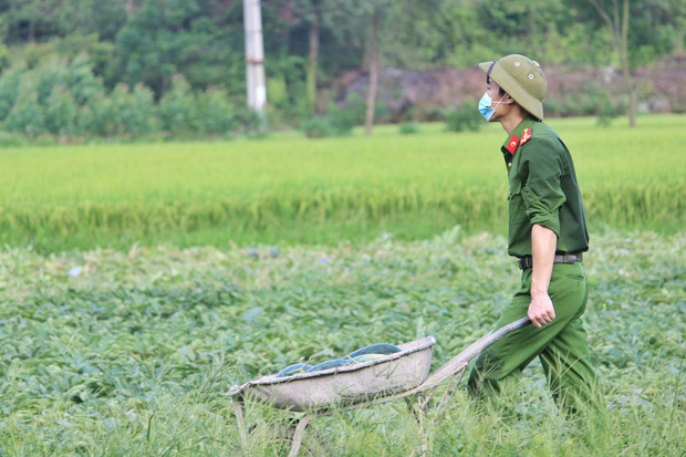  Bắc Giang: Đoàn viên thanh niên công an huyện Yên Dũng thu hoạch 8,5 tấn dưa cho bà con nông dân - Ảnh 5.