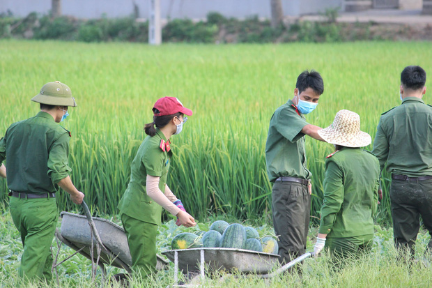  Bắc Giang: Đoàn viên thanh niên công an huyện Yên Dũng thu hoạch 8,5 tấn dưa cho bà con nông dân - Ảnh 9.