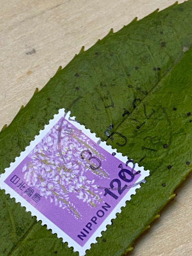 Dịch vụ bưu chính đỉnh cao của Nhật Bản: Một chiếc lá được dán tem, vận chuyển nguyên vẹn tới tay người nhận - Ảnh 2.