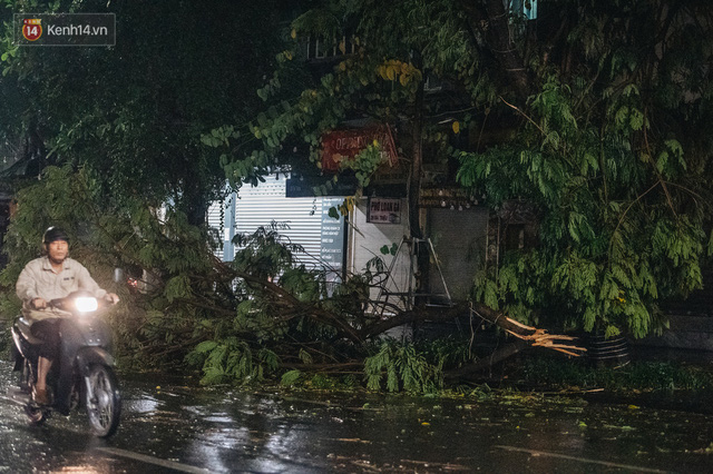  Chùm ảnh Hà Nội sau cơn mưa trắng trời: Cây đổ khắp phố phường, mất điện, người dân không kịp trở tay  - Ảnh 11.