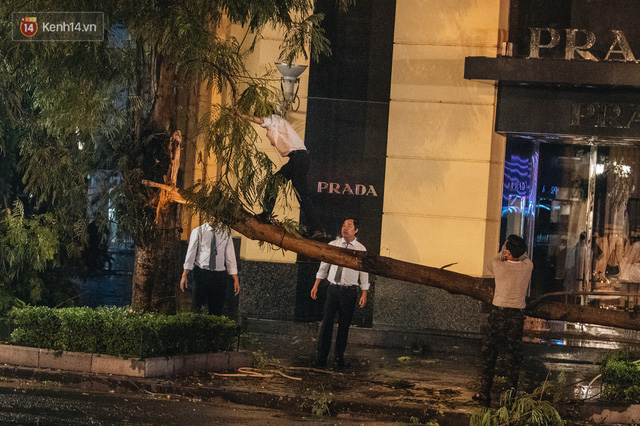  Chùm ảnh Hà Nội sau cơn mưa trắng trời: Cây đổ khắp phố phường, mất điện, người dân không kịp trở tay  - Ảnh 13.
