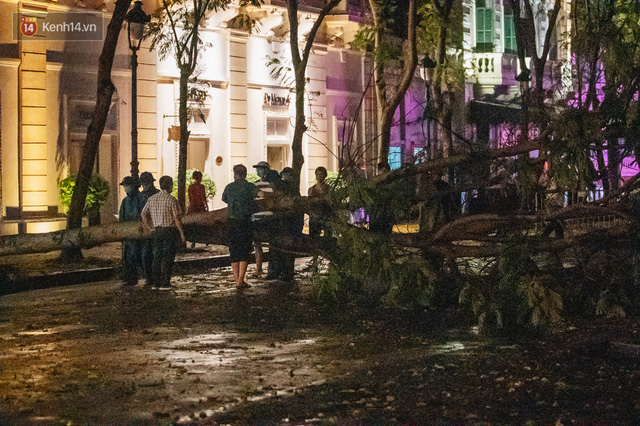  Chùm ảnh Hà Nội sau cơn mưa trắng trời: Cây đổ khắp phố phường, mất điện, người dân không kịp trở tay  - Ảnh 14.
