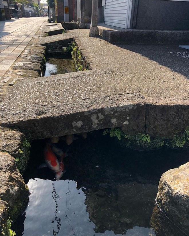  Du học sinh nổi tiếng triệu follow chỉ 1 điểm nhiều người hiểu lầm ở Nhật, hoá ra nó không hề sạch sẽ 100% như lời đồn? - Ảnh 5.