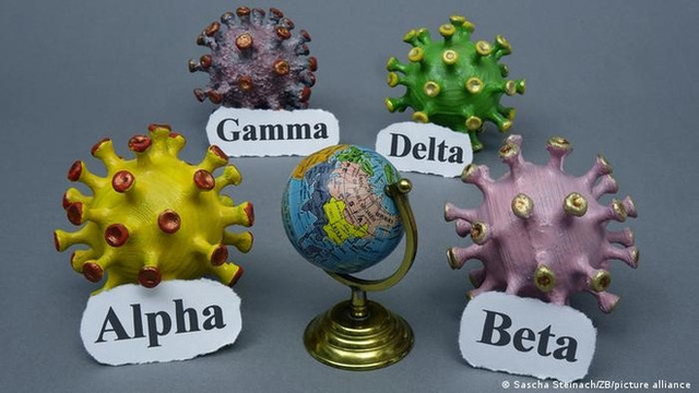  Sau Delta, chủng virus đột biến Gamma đang dấy lên mối lo ngại mới ở nhiều nước  - Ảnh 1.