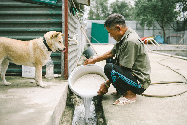  Hành trình một chú chó hoang từng bị bắt, đánh đập đến bến đỗ trong ngôi nhà hạnh phúc cho chó mèo ở Hà Nội - Ảnh 18.