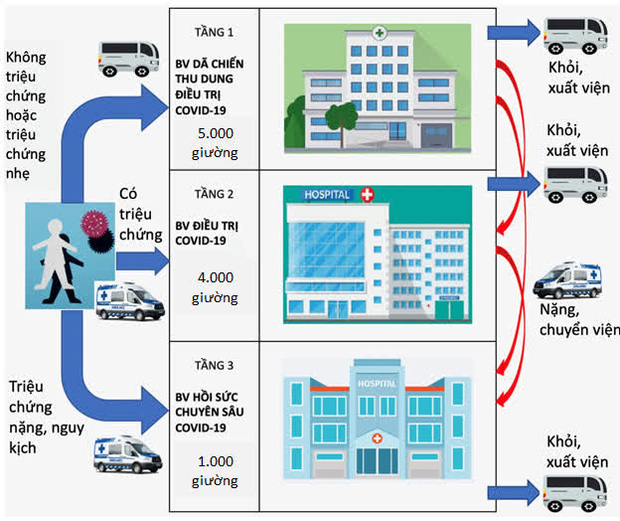  TP.HCM: Huy động 200 xe khách vận chuyển người bệnh Covid-19 có triệu chứng nhẹ - Ảnh 1.