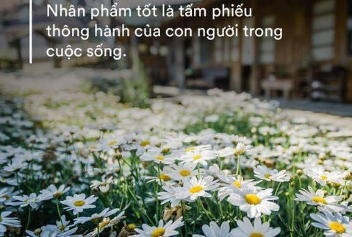  Chọn bạn mà chơi, chọn nơi mà học: Tìm được 1 kiểu người này để kết giao thì sống đời người không hối tiếc, càng thân thiết, càng hưởng phúc lớn lao  - Ảnh 1.