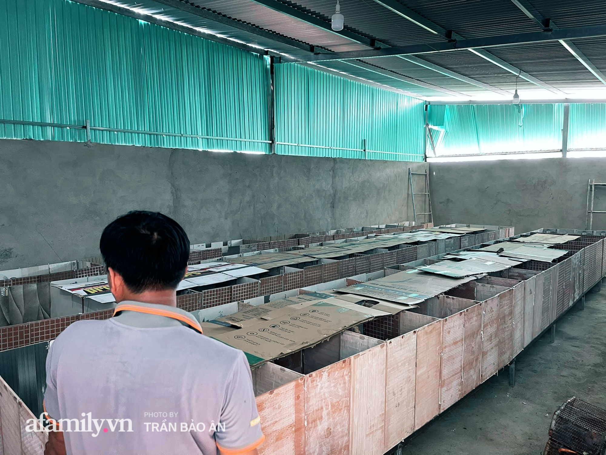 Nhờ nuôi con Dúi, anh chàng sinh năm 1998 kiếm lời vài chục triệu/tháng trong mùa dịch, tự sắm được ô tô rồi mua cho mẹ chiếc SH để đi chợ - Ảnh 10.