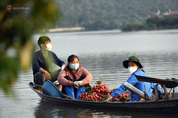 Ảnh: Công an huyện Lục Ngạn, Bắc Giang chung tay thu hoạch vải cùng bà con ngay từ đầu vụ - Ảnh 11.