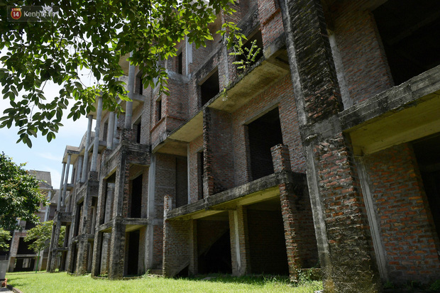  Cận cảnh các ngôi biệt thự ma ở Hà Nội bị bỏ hoang nhiều năm, rêu phong phủ kín các bức tường - Ảnh 6.