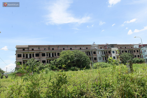  Cận cảnh các ngôi biệt thự ma ở Hà Nội bị bỏ hoang nhiều năm, rêu phong phủ kín các bức tường - Ảnh 7.