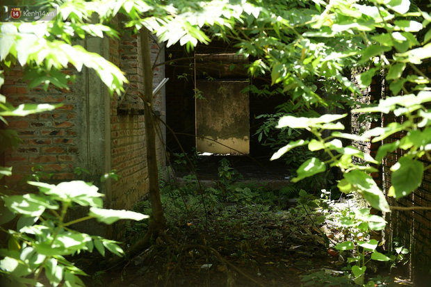  Cận cảnh các ngôi biệt thự ma ở Hà Nội bị bỏ hoang nhiều năm, rêu phong phủ kín các bức tường - Ảnh 8.