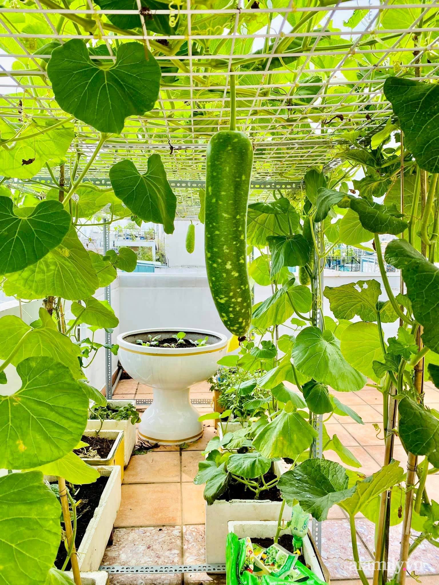 Bạn muốn trồng rau trong không gian nhỏ hẹp của căn nhà mình? Hãy nhấp chuột để xem một giải pháp tuyệt vời - Vườn rau đẹp trên sân thượng! Các loại rau xanh mướt, tươi ngon sẽ sẵn sàng cho các món ăn của bạn mỗi khi bạn muốn.