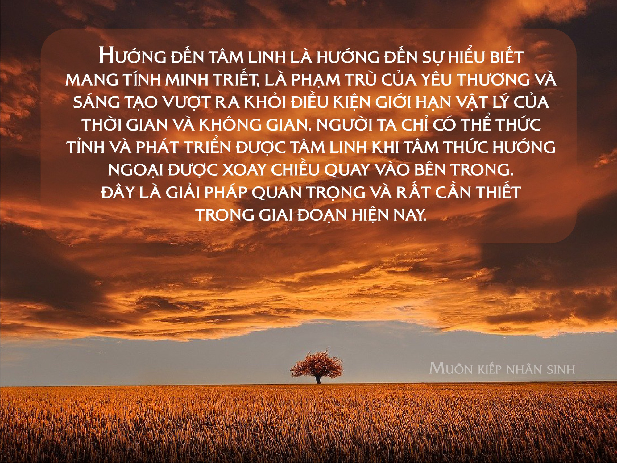 Những câu nói thức tỉnh lương tri trong ''Muôn kiếp nhân sinh 2''