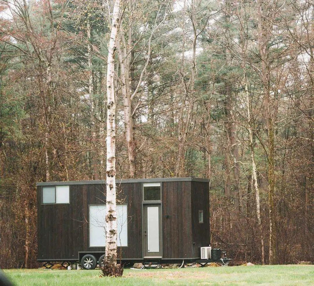 Sau 365 ngày đi khắp nơi trên thế giới, cặp đôi người Mỹ chọn dừng chân với căn nhà gỗ trong rừng, sống một đời đơn giản: Tối giản để tập trung vào ý nghĩa cuộc sống - Ảnh 11.